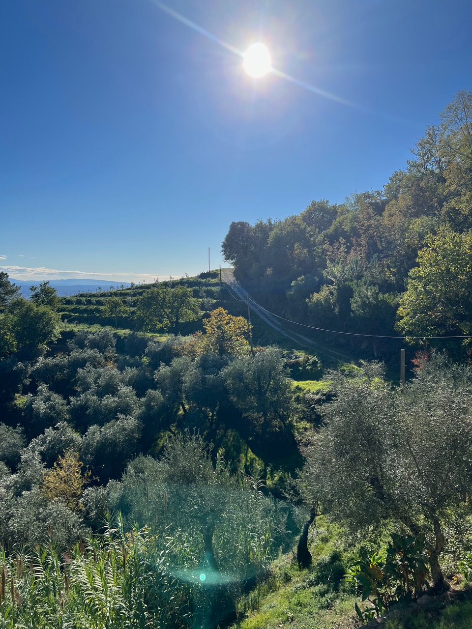Casa Margherita