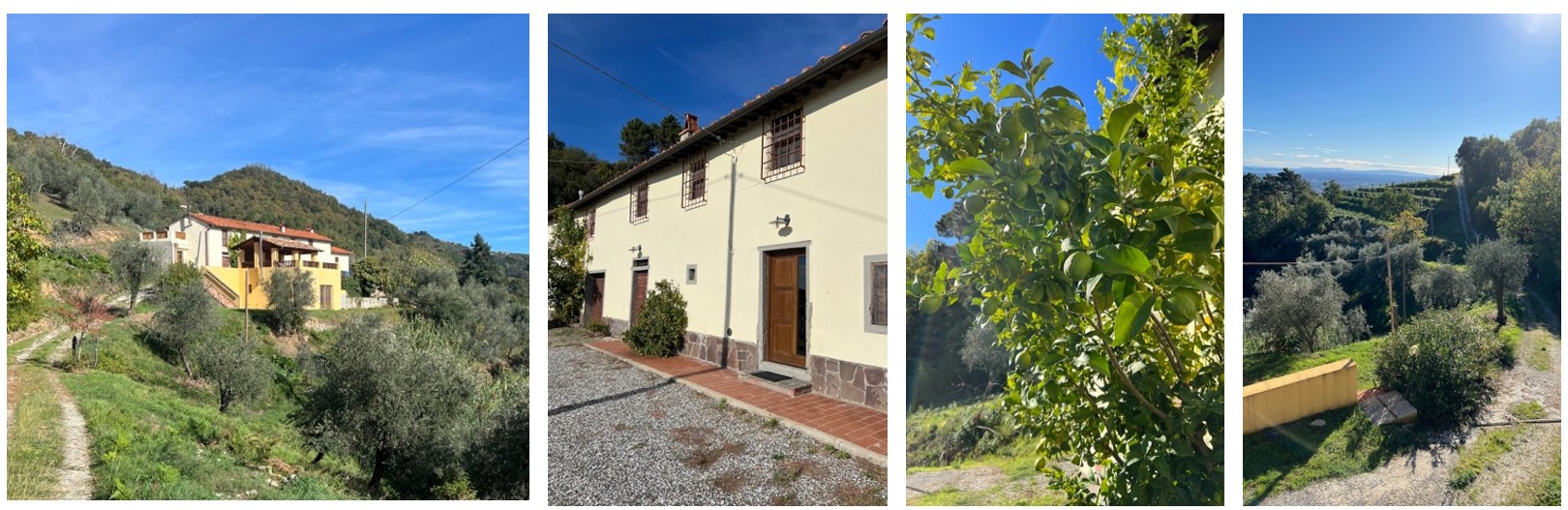 Casa Margherita